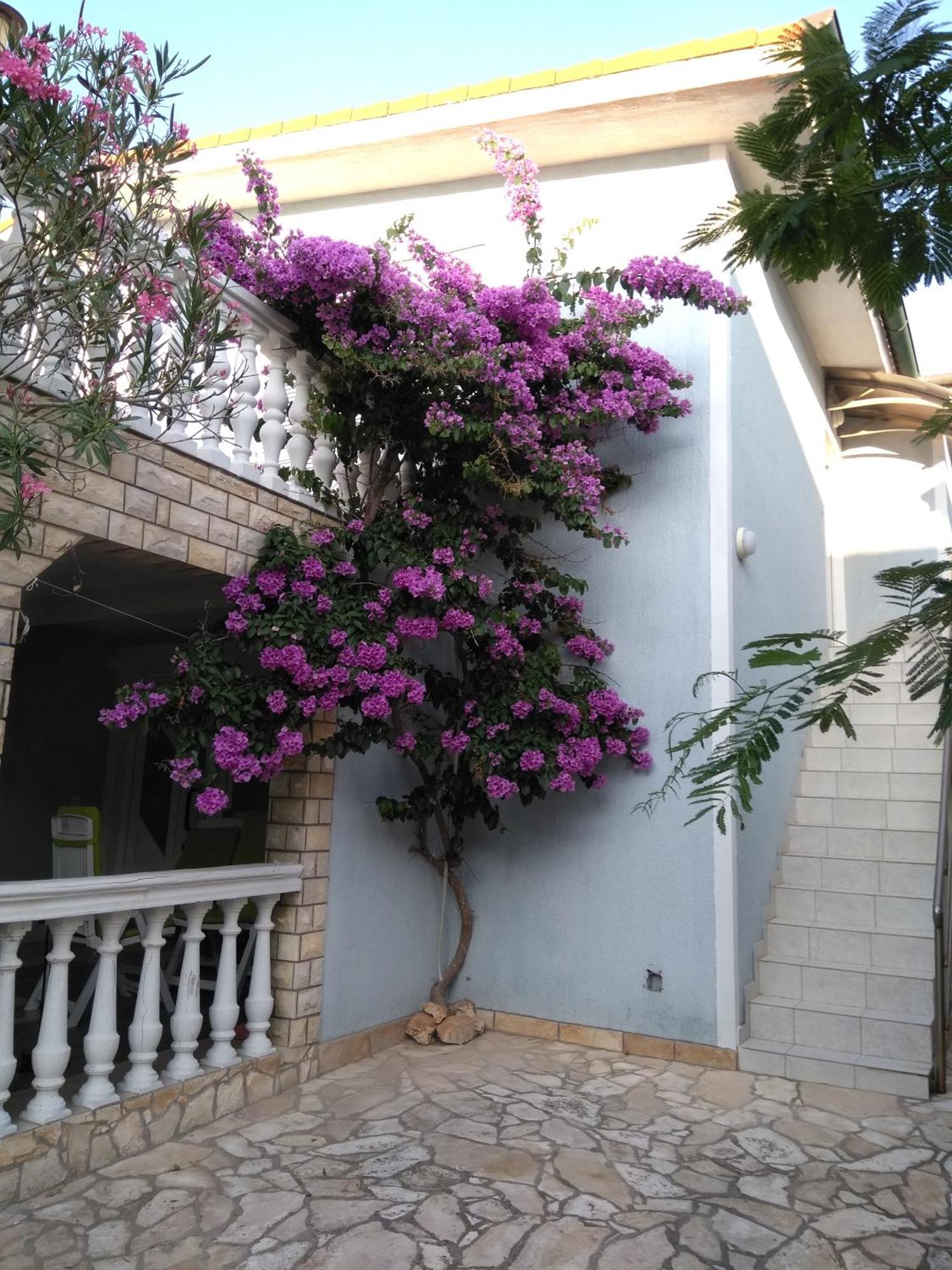 Korade Apartman *